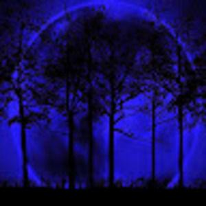 Meet your Posher, Misty